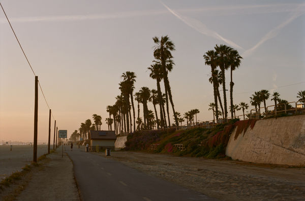 La Colección Huntington Beach fotografiada con la colaboración de Ed Templeton.