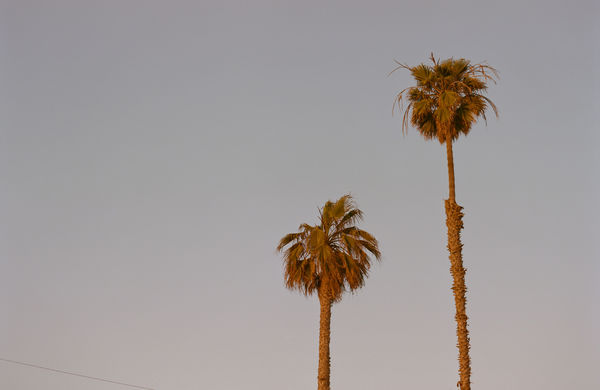La Colección Huntington Beach fotografiada con la colaboración de Ed Templeton.