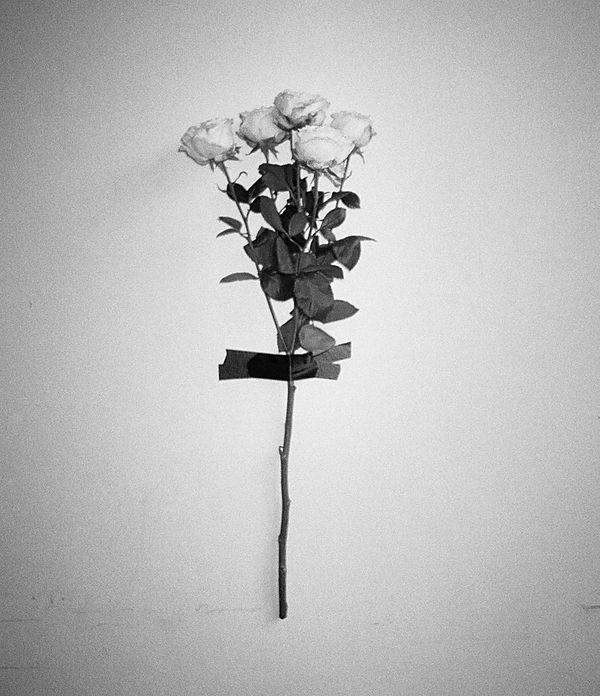 AllSaints KR new arrivals