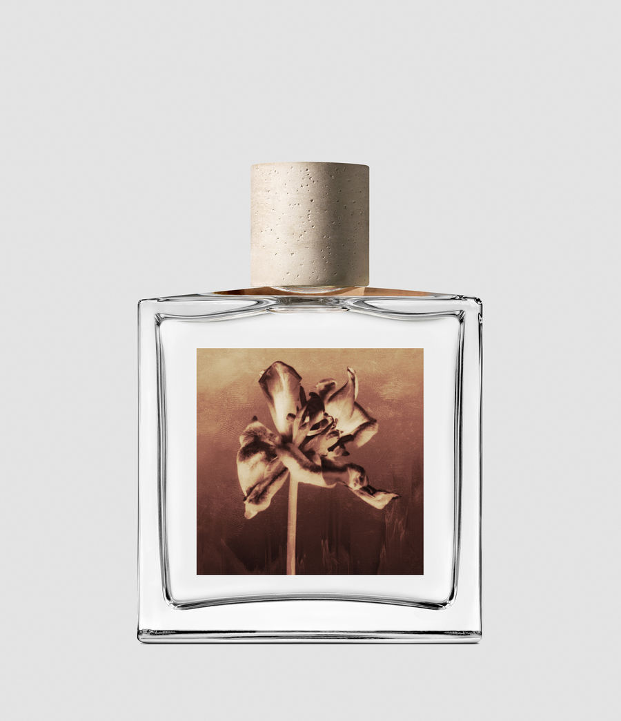 allsaints perfume