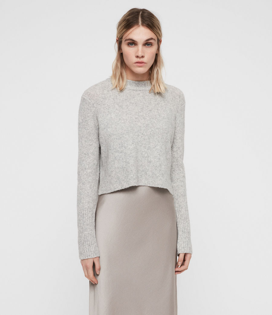 all saints kowlo roll neck dress