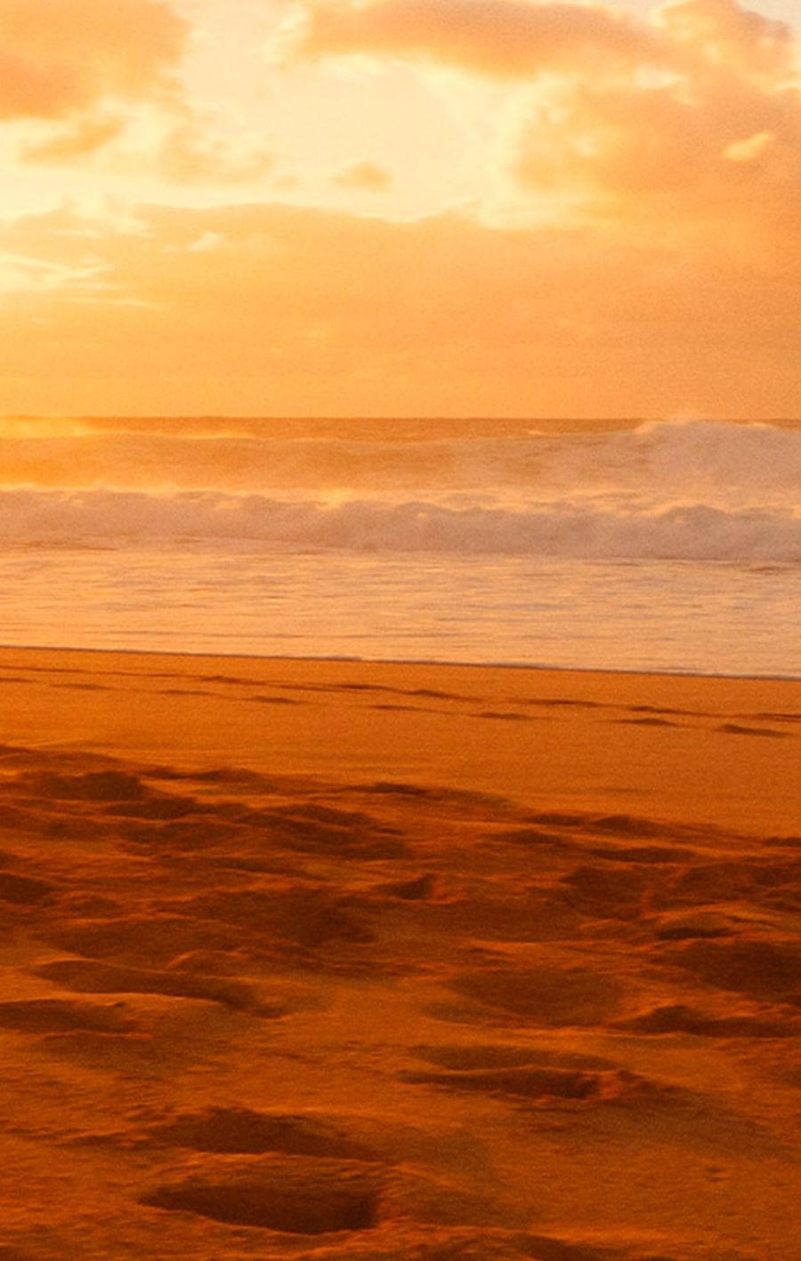Landscape picture of a beach at sunset.