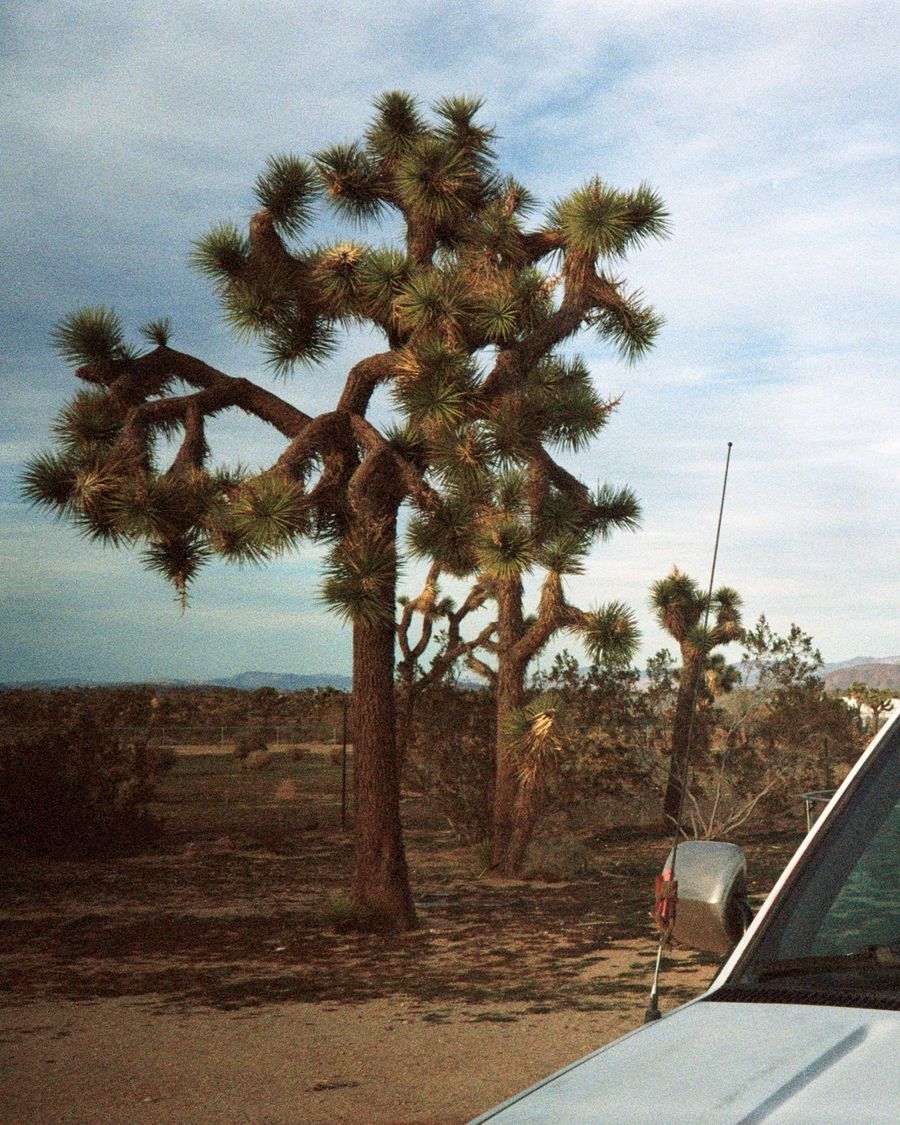 Image of a landscape in the Joshua Tree area.
