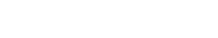 The Hawaii New Waves logo.
