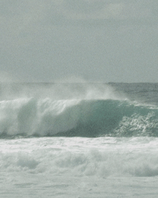 Screenshot du film Earth Day.